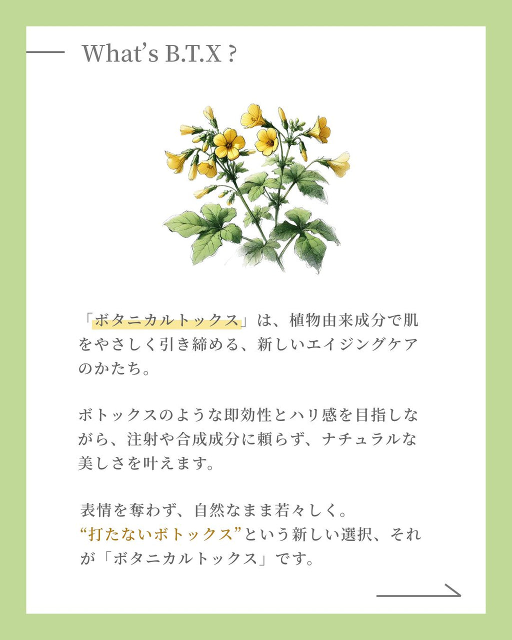 B.T.X.フィトムチンクリーム