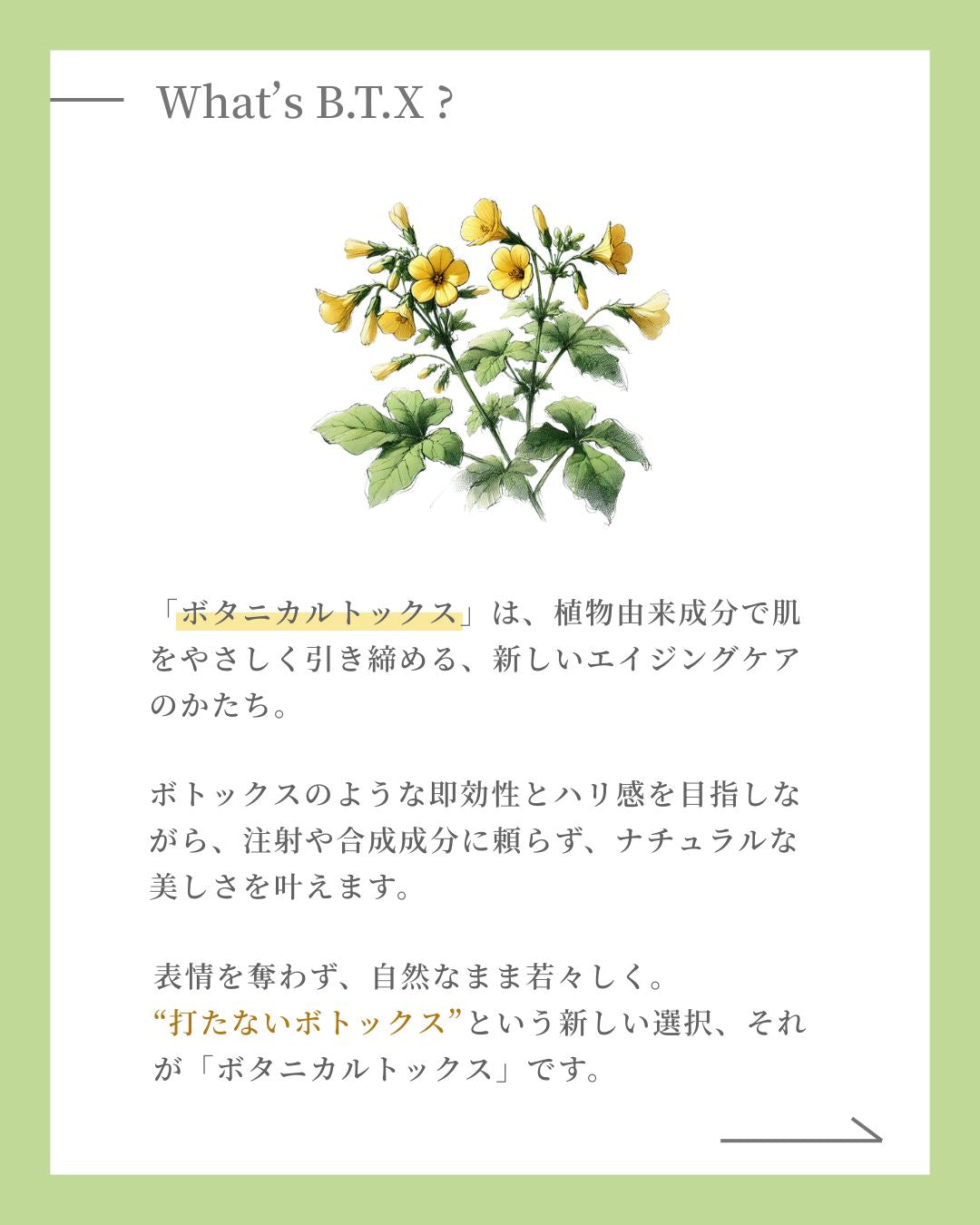 B.T.X.フィトムチンクリーム