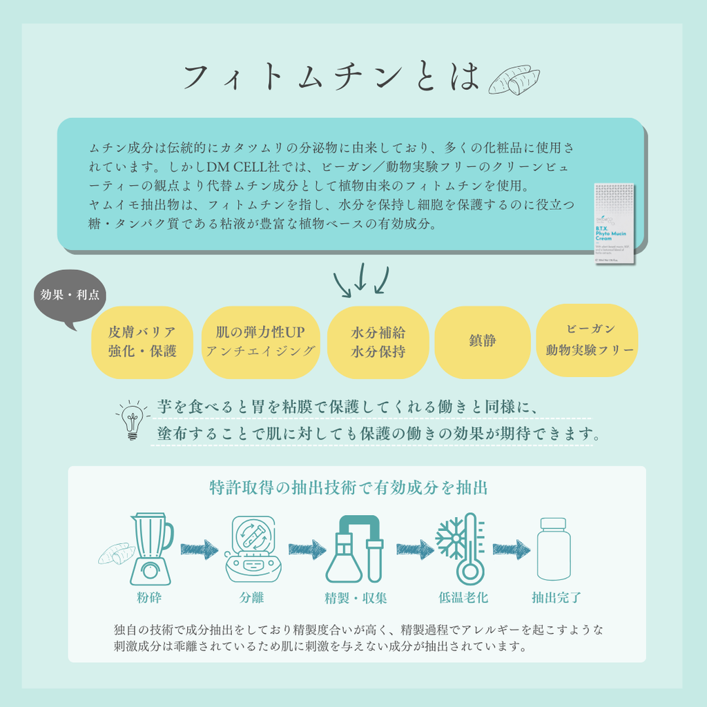 B.T.X.フィトムチンクリーム