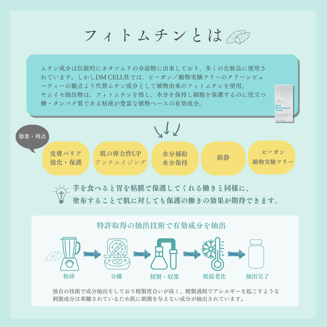 B.T.X.フィトムチンクリーム