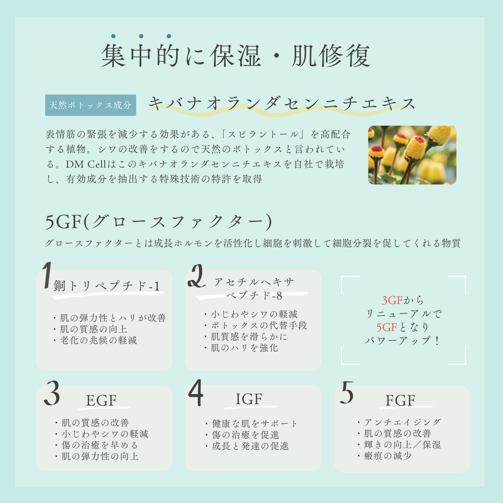 B.T.X.フィトムチンクリーム