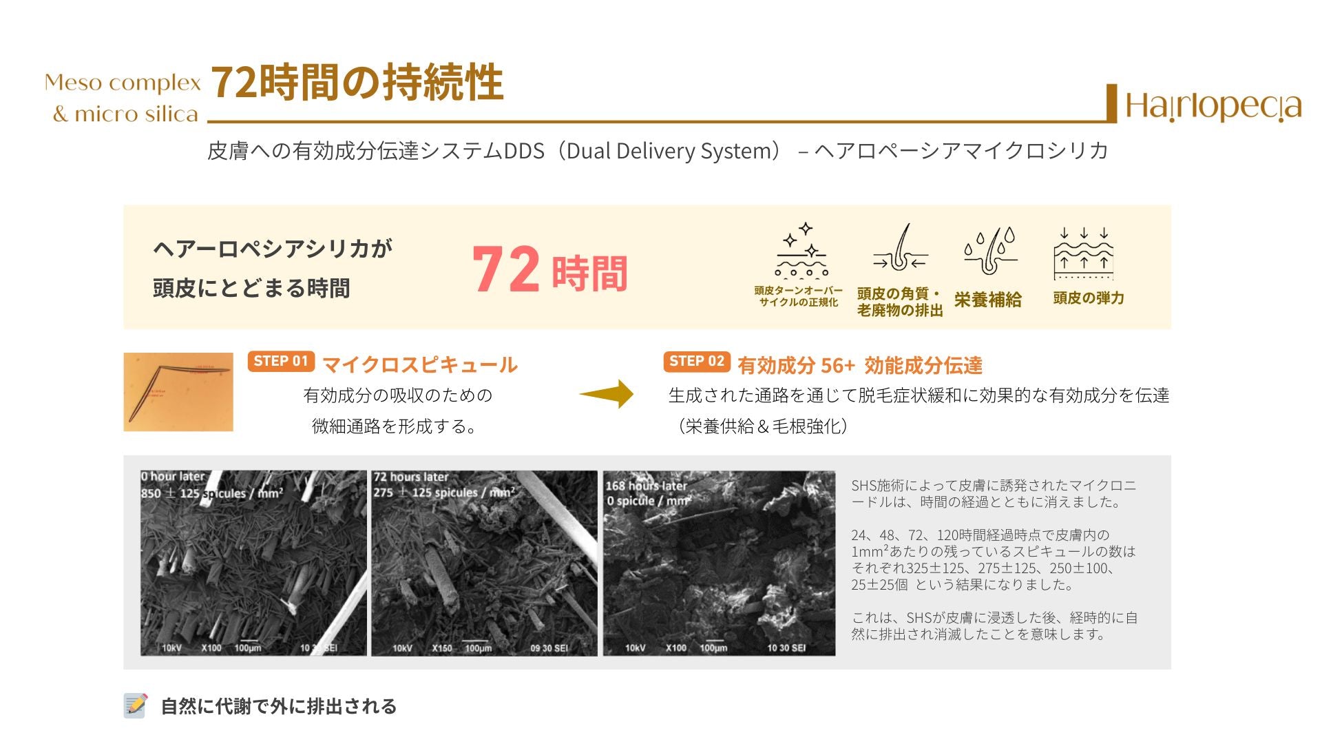 ヘアロペーシア（頭皮ケア用スピキュール）