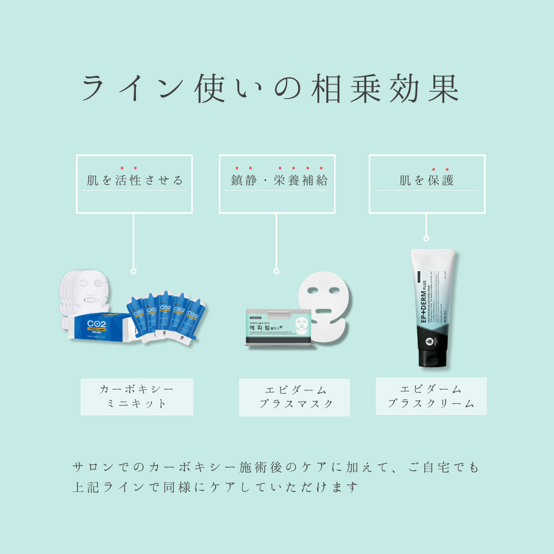 エピダームプラスマスク 25枚入