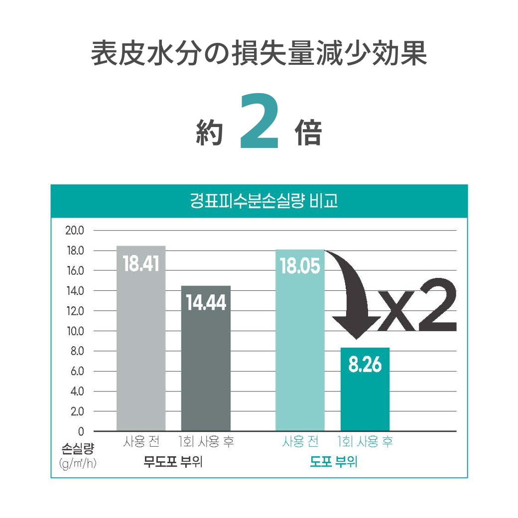 エピダームプラスマスク 25枚入